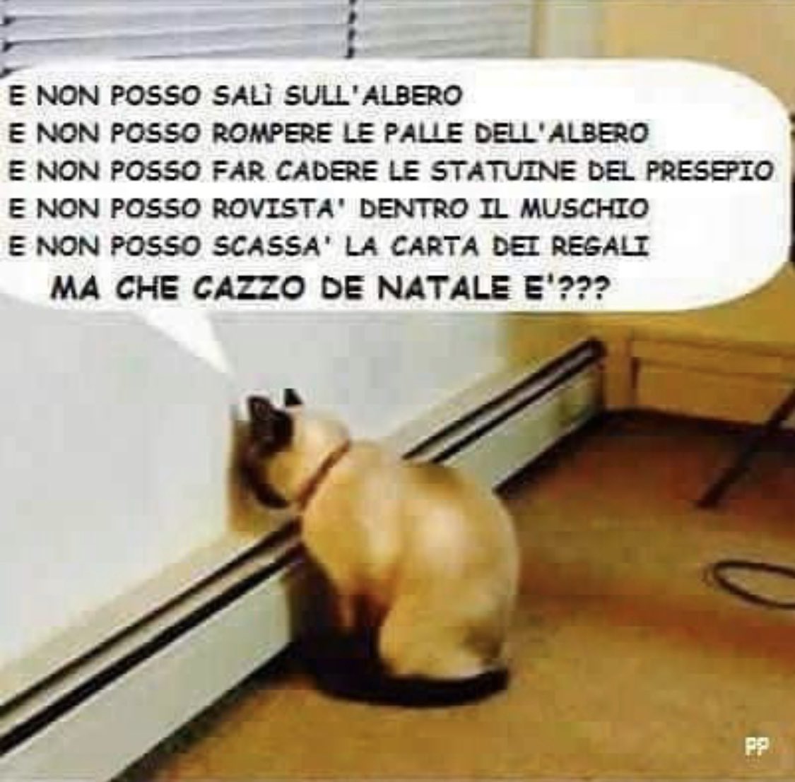 davidecompa's tweet image. #buonnataleuncazzo 😪😂