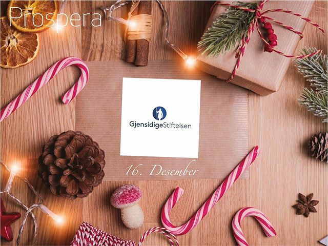 Bak luke 16 gjemmer @gjensidigestiftelsen seg med en fantastisk nyhet!

Deres utstrakte samfunnsinnsats for et tryggere, sunnere og mer aktivt samfunn er viktig og spennende. Prospera har de fire siste fire årene gjennomført nasjonal skalering, og vi har… ift.tt/2tpdGND