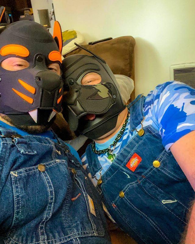 pupfarrstrider's tweet photo. Awrf! Today, I explored something new for me, and I had the best time getting little! 😋🐾
Thank you SO MUCH @pup.travcula for helping me take my first steps exploring little Farrstrider! 💚🐾 https://t.co/VrMOxByJuK
