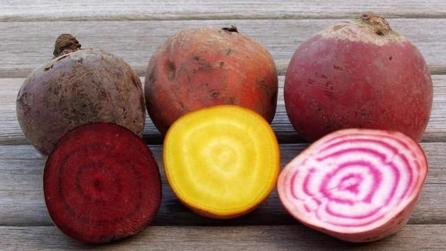 bzfe_de's tweet image. Rote Bete - bunt und gesund! #RoteBete enthalten viel farbenprächtige #Polyphenole. Außerdem punktet sie mit einem gesunden Cocktail aus #Mineralstoffen wie #Kalium, #Magnesium, #Eisen, #Zink sowie #B_Vitaminen, #Folsäure und #ProvitaminA ➡️buff.ly/2LLZVyu #Wintergemüse