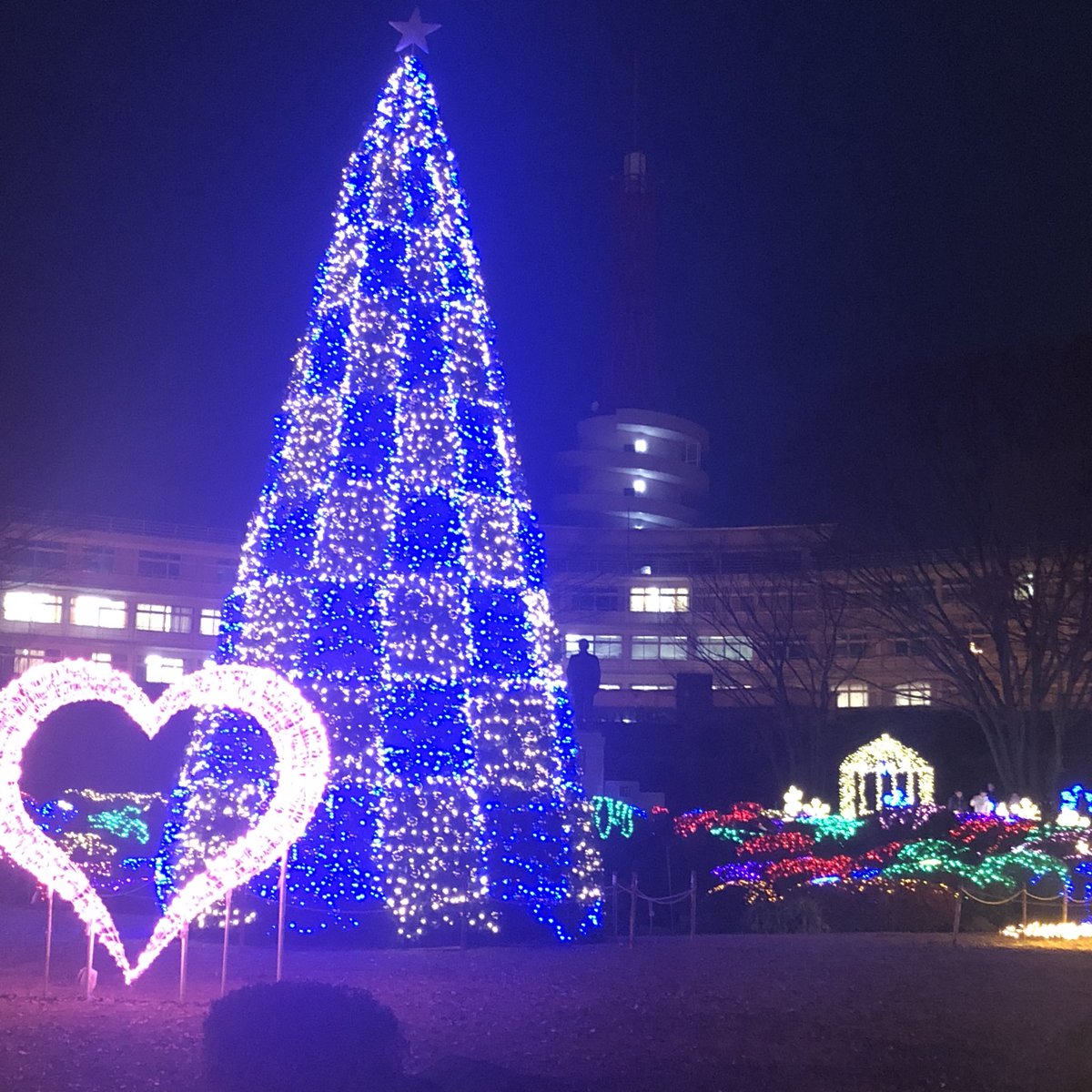 Tokai_Univ_'s tweet image. 湘南キャンパスでは本日、明日と8号館食堂前でコーンスープを無料配布しています🌙✨
食堂横の噴水前イルミネーションは絶好の撮影スポットです🌈📸