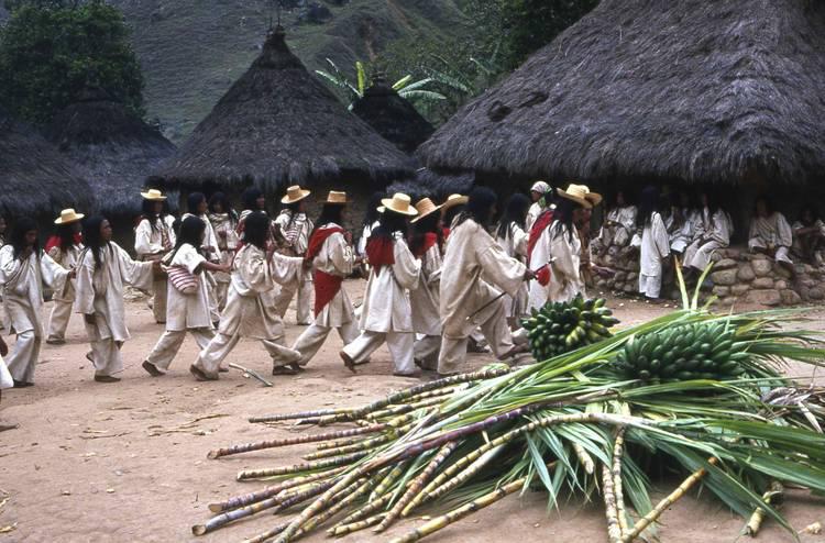 MirjamCSchouten's tweet photo. PLEASE HELP MY INDIGENOUS FRIENDS IN COLOMBIA by buying their pure wild coffee. The coffee plants grow in the wild and the Kogi are taking care of water + the earth. #Indigenous #Kogi #ColombianCoffee #Aluna #OrganicCoffee #PlantBasedLife #JulianLennon #ICSAW #TimeOfTheSixthSun https://t.co/15PJHNLrRm