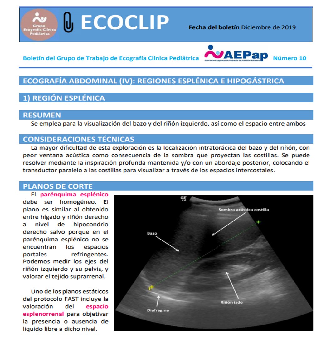 aepap's tweet photo. El Grupo de trabajo de Ecografía Pediátrica @GTEcoPed de la @aepap ha publicado un nuevo #Ecoclip - Una ayuda para todos los interesados en esta técnica #Ecografía https://t.co/59IY94qvmq https://t.co/6bOeddKDlu