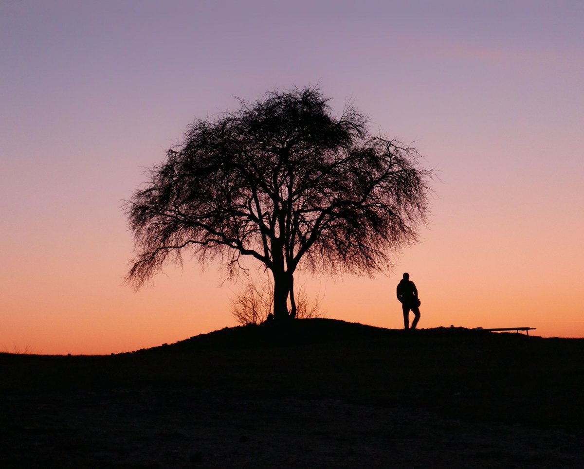 ReplantBristol's tweet photo. Help Bristol expand the urban forest by a quarter of a million trees by 2030!
Sign up to #OneTreePerEmployee this Christmas as the perfect Christmas present for staff.
https://t.co/qOUGC2k7Ae https://t.co/VwX6DWoQsy