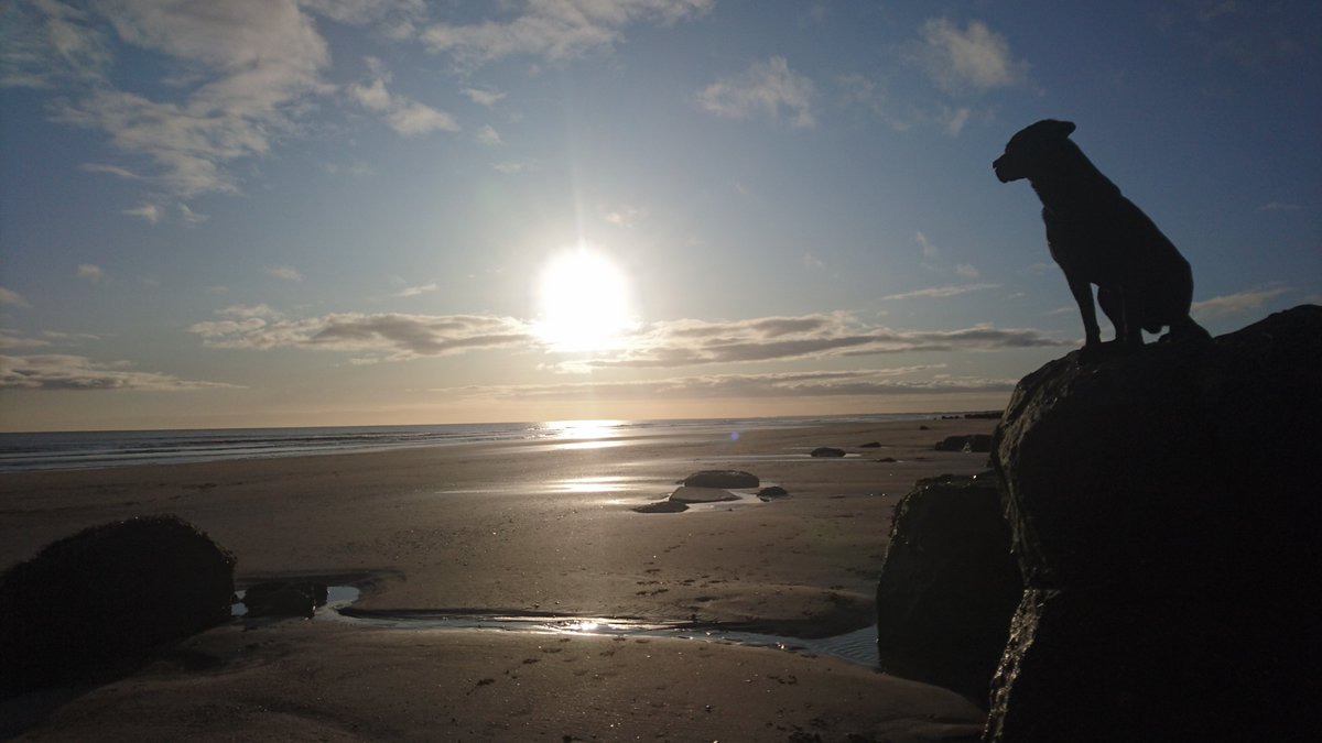 fishermodularuk's tweet photo. We had a hectic weekend at the beach....
How was yours?
#beachday #peaceandquiet #eastcoast #blowingawaythecobwebs #toomuchsand https://t.co/vU5aIN4alt