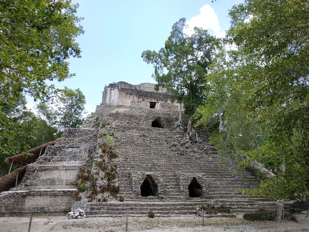 Sur le blog, Coco de #TerraMaya nous emmène avec lui dans la réserve de #Calakmul 🇲🇽 bit.ly/34j4XJk
Au menu : de la #jungle, des animaux un poil effrayants et des villages bien cachés dans lesquels on fait de belles rencontres...
#VoaygeMexique