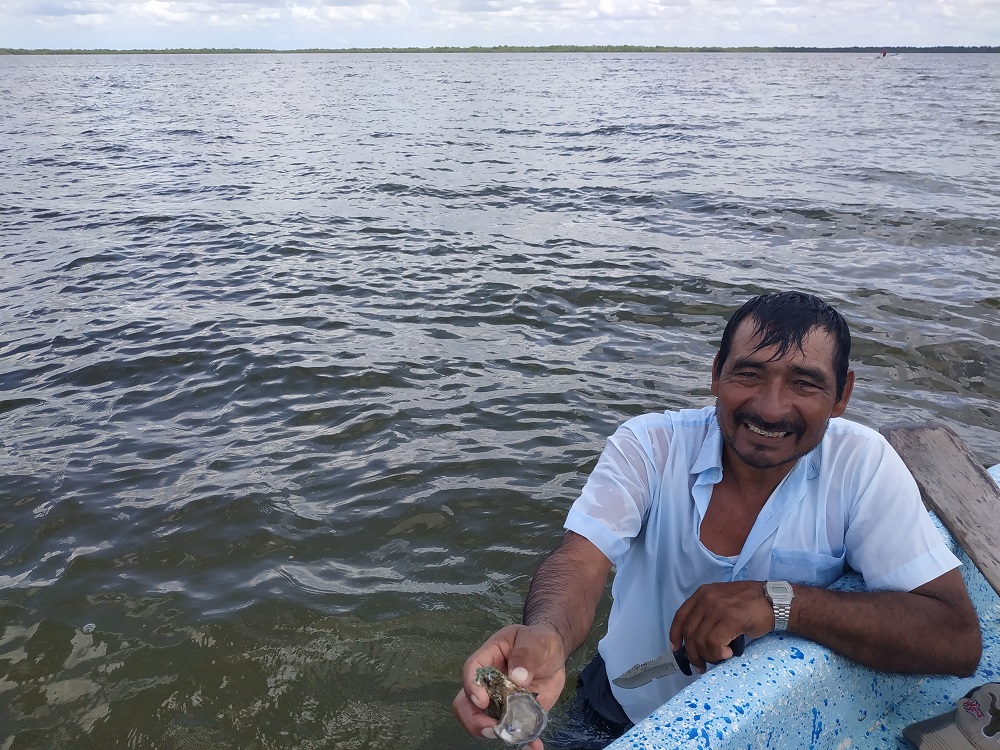 TerraGroup1's tweet photo. Sur le blog, Coco de #TerraMaya nous emmène avec lui dans la réserve de #Calakmul 🇲🇽 https://t.co/qZAZa5muVZ
Au menu : de la #jungle, des animaux un poil effrayants et des villages bien cachés dans lesquels on fait de belles rencontres...
#VoaygeMexique https://t.co/KbJGyjQL5B