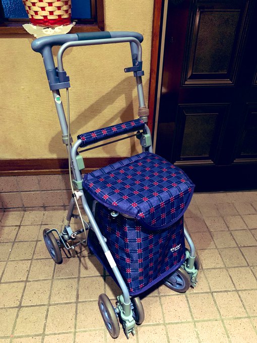 80歳のおばあちゃんに”シルバーカー”を買った私のレビュー | ナツの