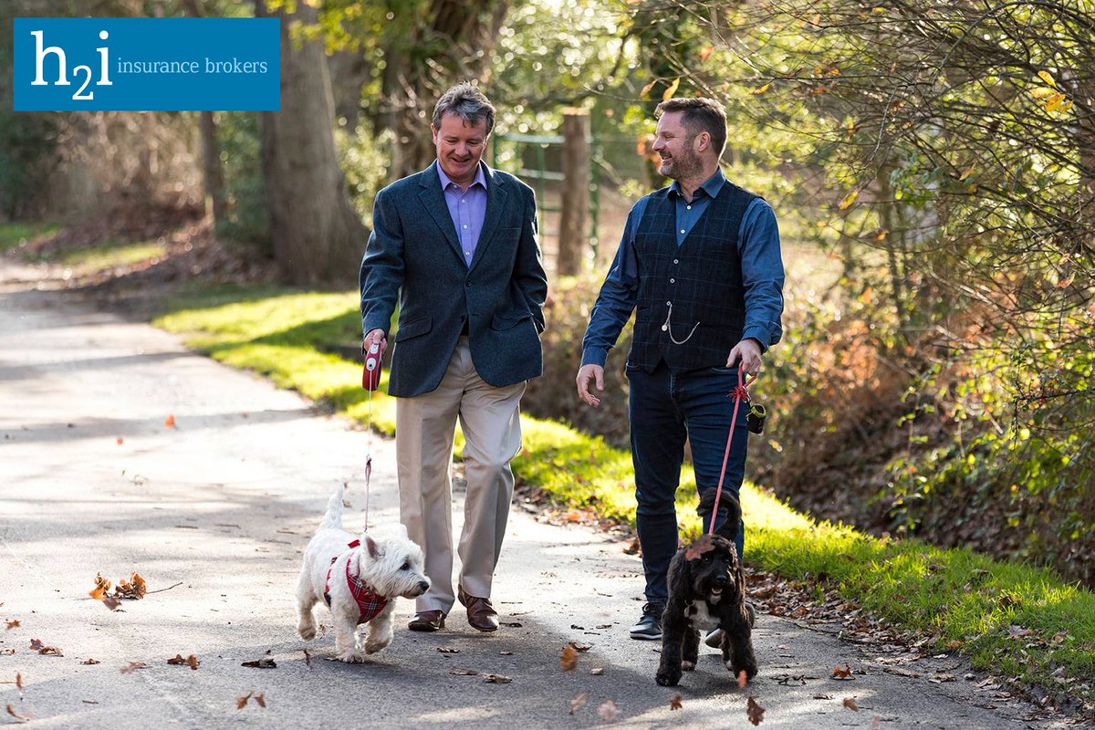 If you want to learn more about our friendly and experienced team at h2i Insurance Brokers, visit our website. 
h2ibrokers.com 
#h2iinsurancebrokers #commercialinsurance #insurancebrokers #businessinsurance #officedogs