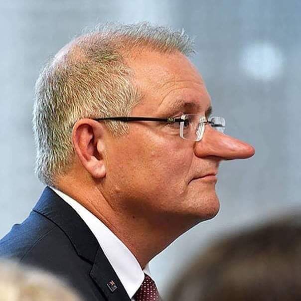 MichaelSpring17's tweet image. The reason why @ScottMorrisonMP has gone missing in action this week- after a year of being extremely loose with the truth he needs to get some rhinoplasty done.