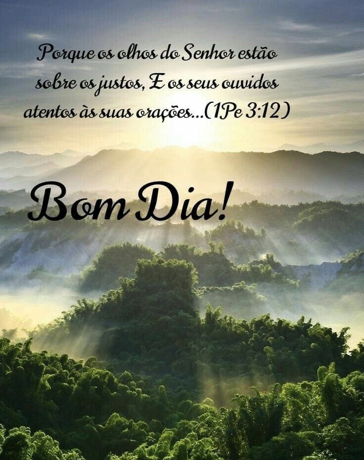 Monica Bulhões on Twitter: Monica Bulhões on Twitter: