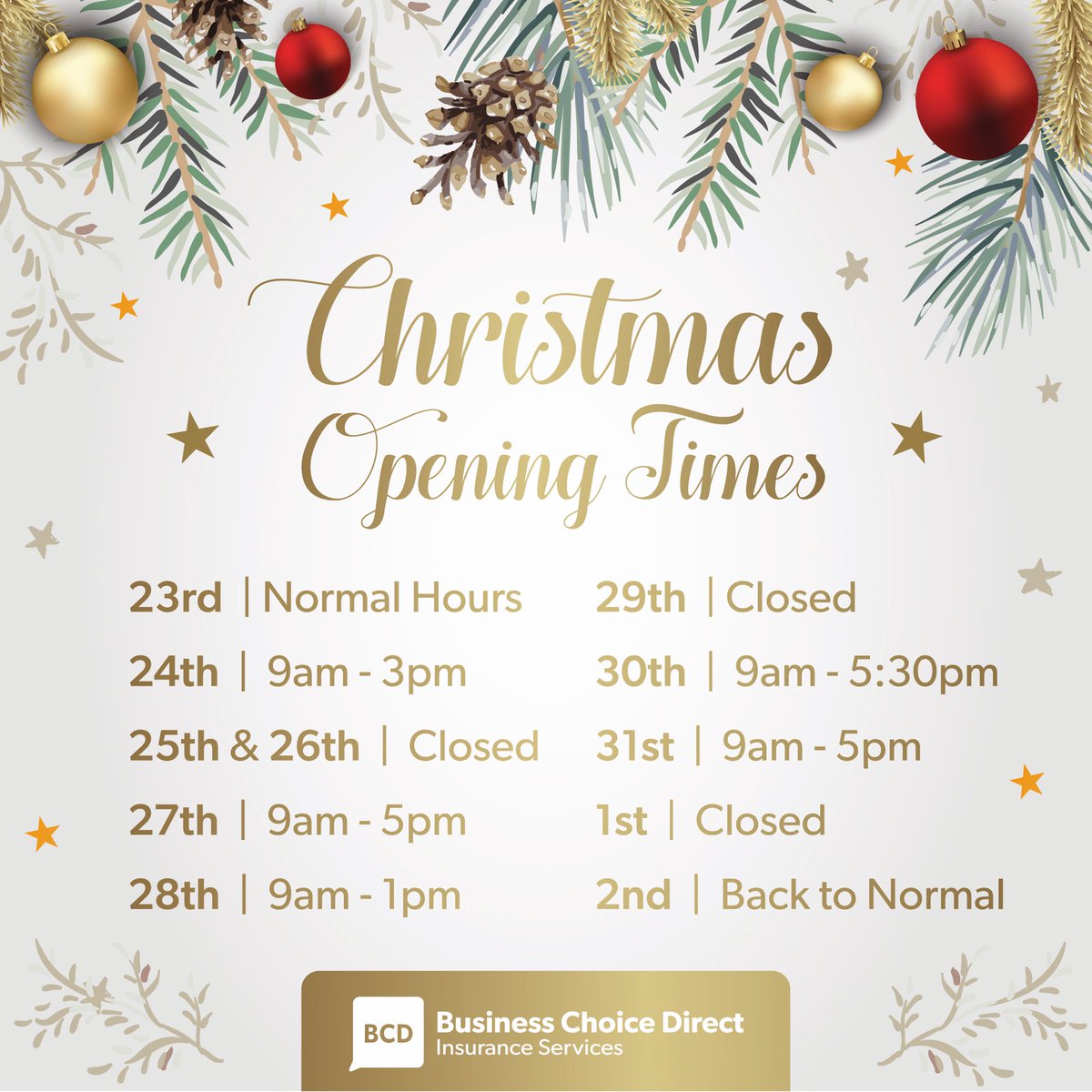 Business Choice Direct Insurance Services tweet media