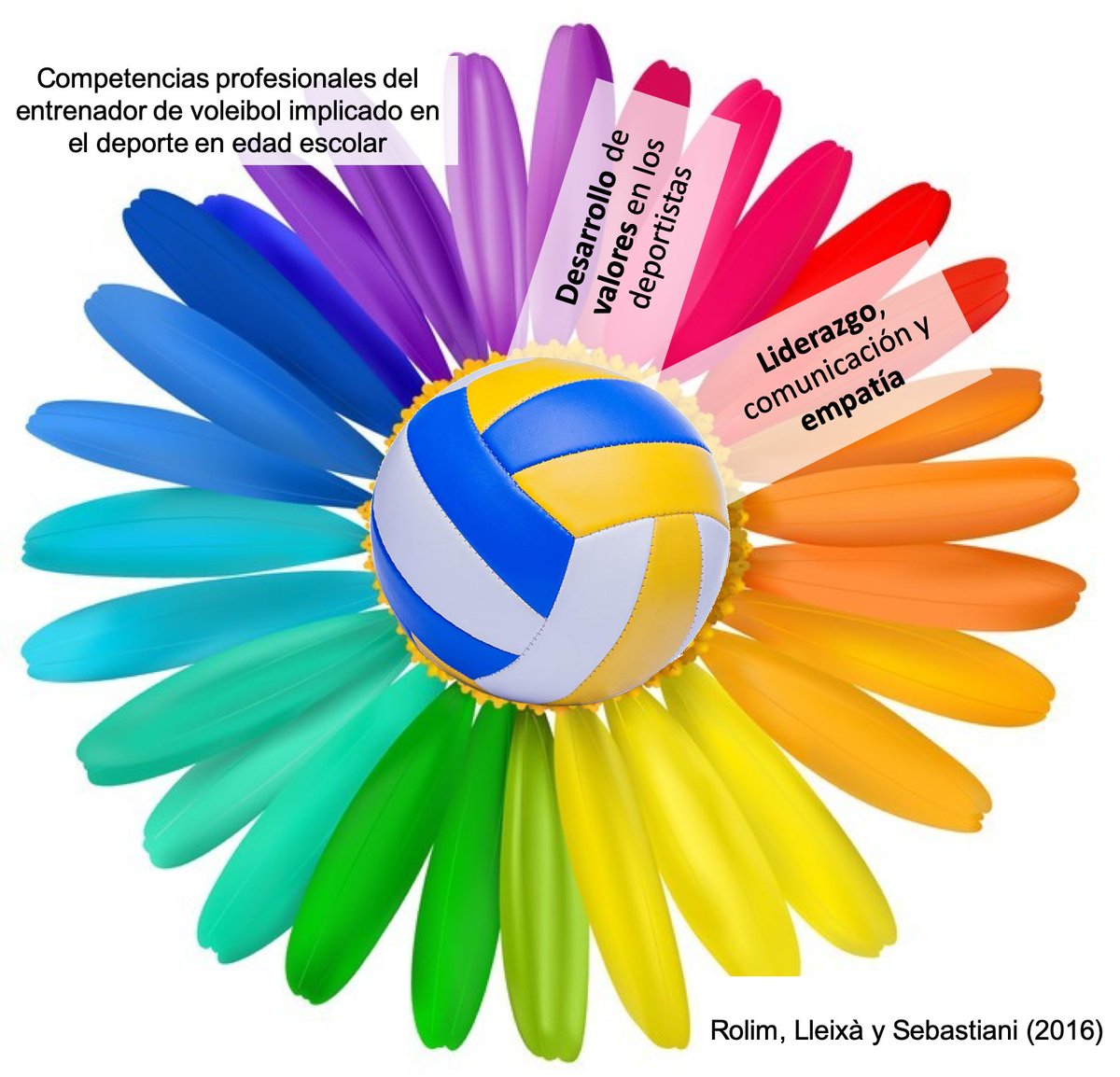 CompetenciasVB's tweet photo. ¡El trabajo sigue! ¿Queréis saber qué otra competencia hemos identificado para los entrenadores de voleibol de niños, niñas y jóvenes en edad escolar? #competenciasentrenadores #voleibol #valoresydeporte #liderazgo #empatía 🗣️ https://t.co/6p6PExWRel