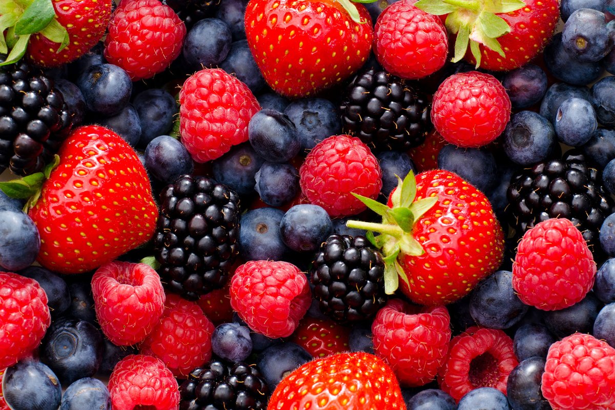 mariabarabash's tweet photo. Berries Production and Storage project in Kyiv region of Ukraine is looking for a co-investor for further business development. Required Investments: US$2-5,000,000.

https://t.co/7LbZdVYPXr https://t.co/KCvHz9Ggae