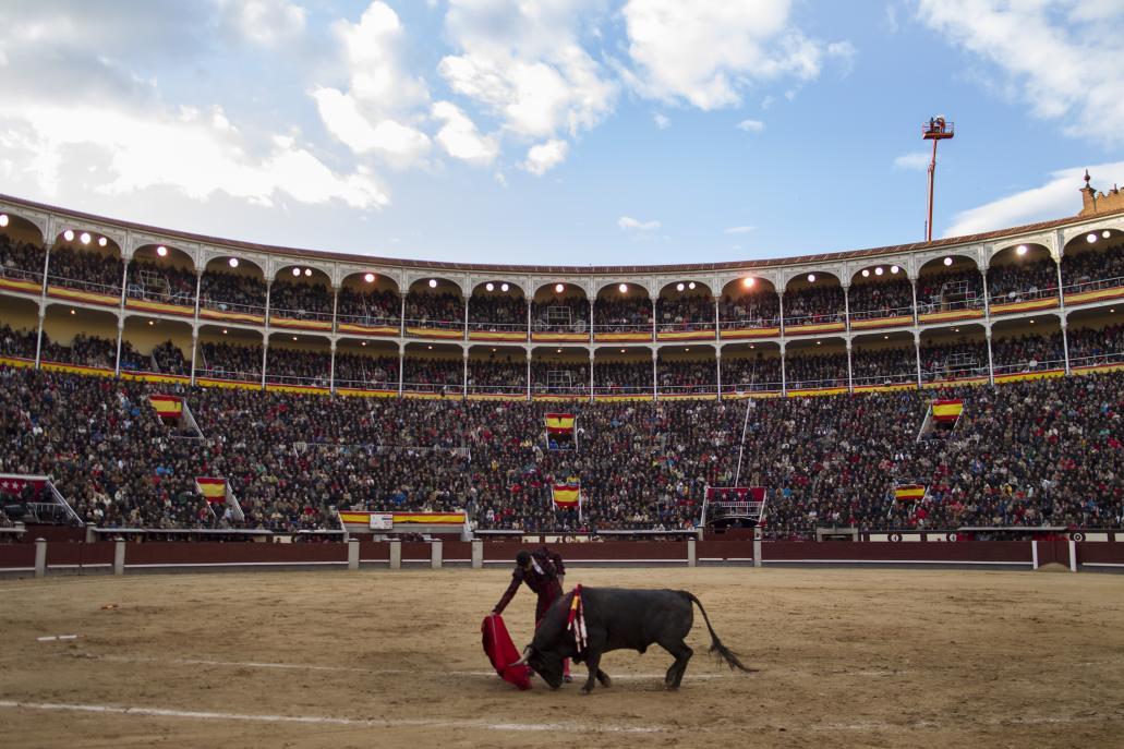 #Toros | #Madrid impulsará la Tauromaquia en 2020 ➡ Con una inversión de 30.000 euros se recuperarán los premios de San Isidro y se pretende recuperar el Batán, por <a href="/PatriciNavarro/">Patricia Navarro</a> lrzn.es/jqdlk1
