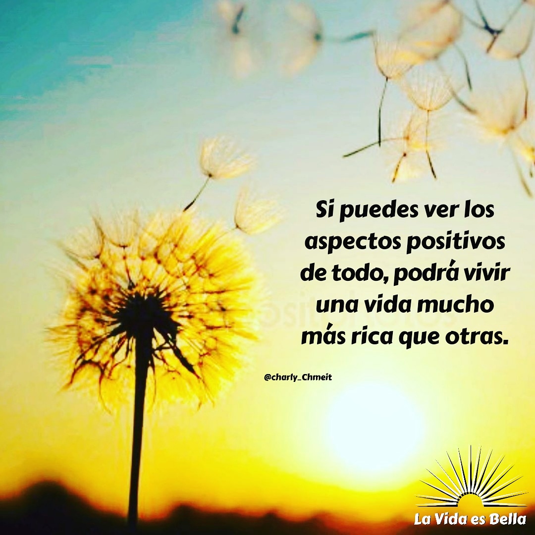 Entrena tu mente para ver lo bueno en todo. La positividad es una elección.  La felicidad de tu vida depende de la calidad de tus pensamientos. 🅛🅐  🅥🅘🅓🅐 🅔🅢 🅑🅔🅛🅛🅐 #sabiduría #inspiración #, image size:1080x1080