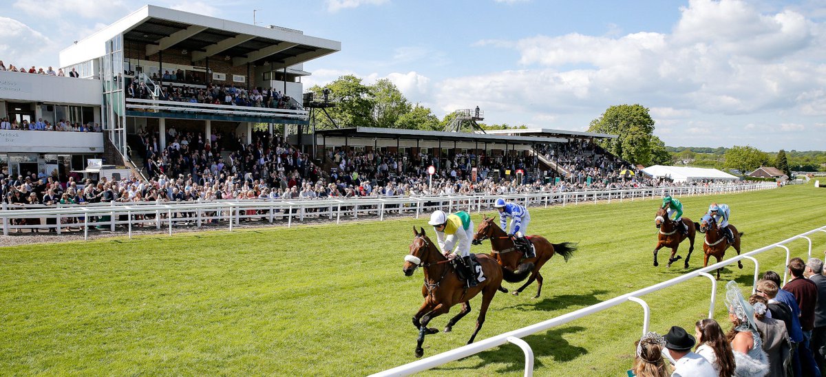 TurfTeeTips's tweet image. WOW! All seven races at Plumpton today have been won by the favourite.

If you backed them all, you would of got odds of 541/1.

Unbelievable
#HorseRacing #BookieBashed