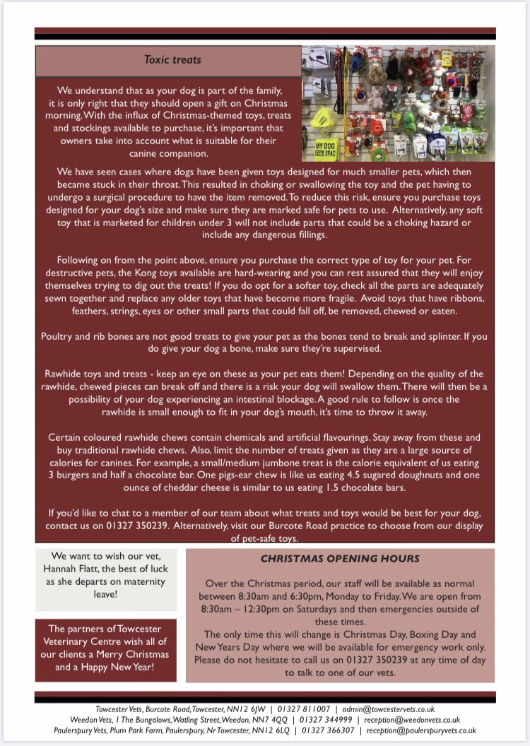 Our latest newsletter has been released! #pethealth #vetadvice