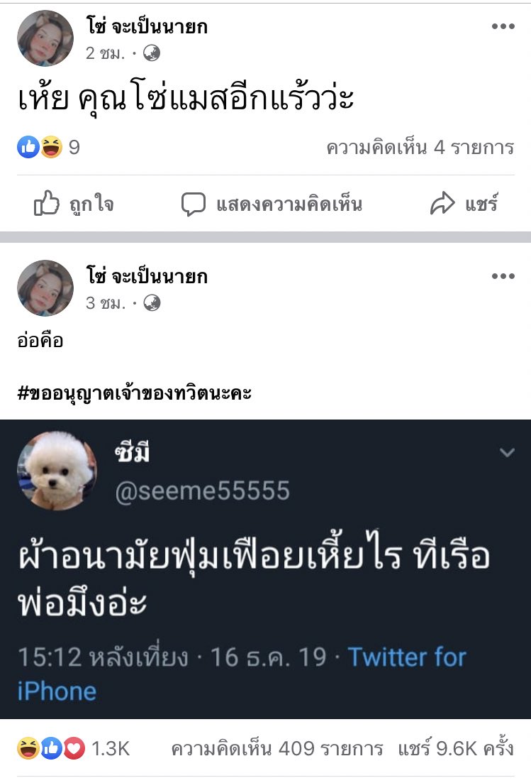 จ้ะ แมสเนอะ