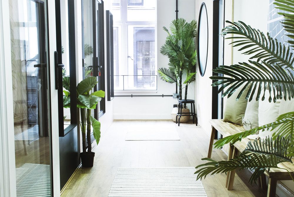 Thinking for becoming a freelance #digitalnomad or #remoteworker in 2020? Our coliving spaces make the perfect base to work while you travel. buff.ly/2Q3aFwW #vivahouseliving #colivingspace