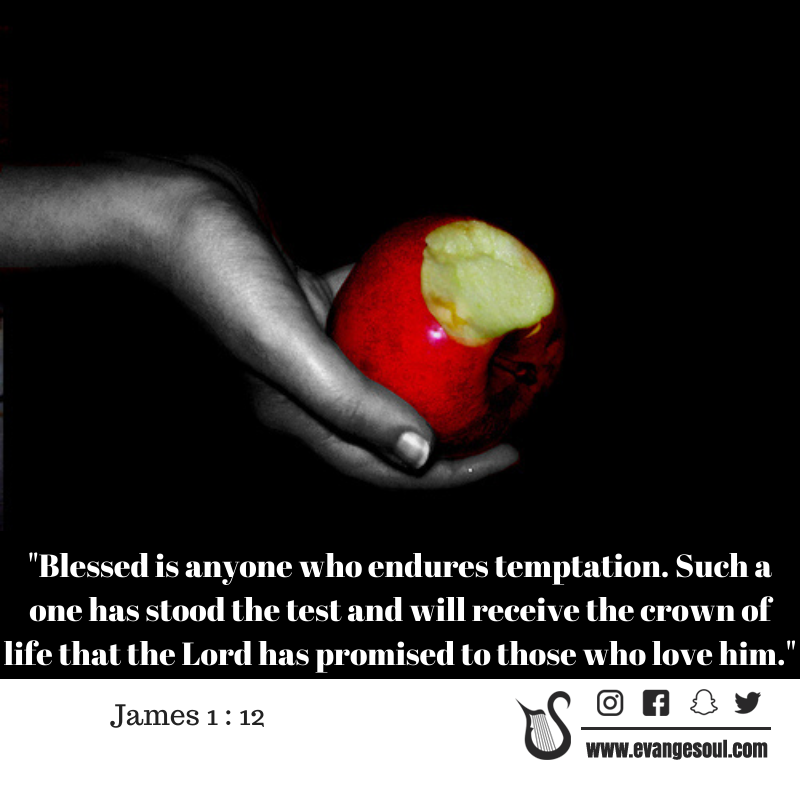 evangesoul's tweet photo. "Blessed is anyone who endures temptation. Such a one has stood the test and will receive the crown of life that the Lord has promised to those who love him." #James1 https://t.co/ISlYmVyh0B