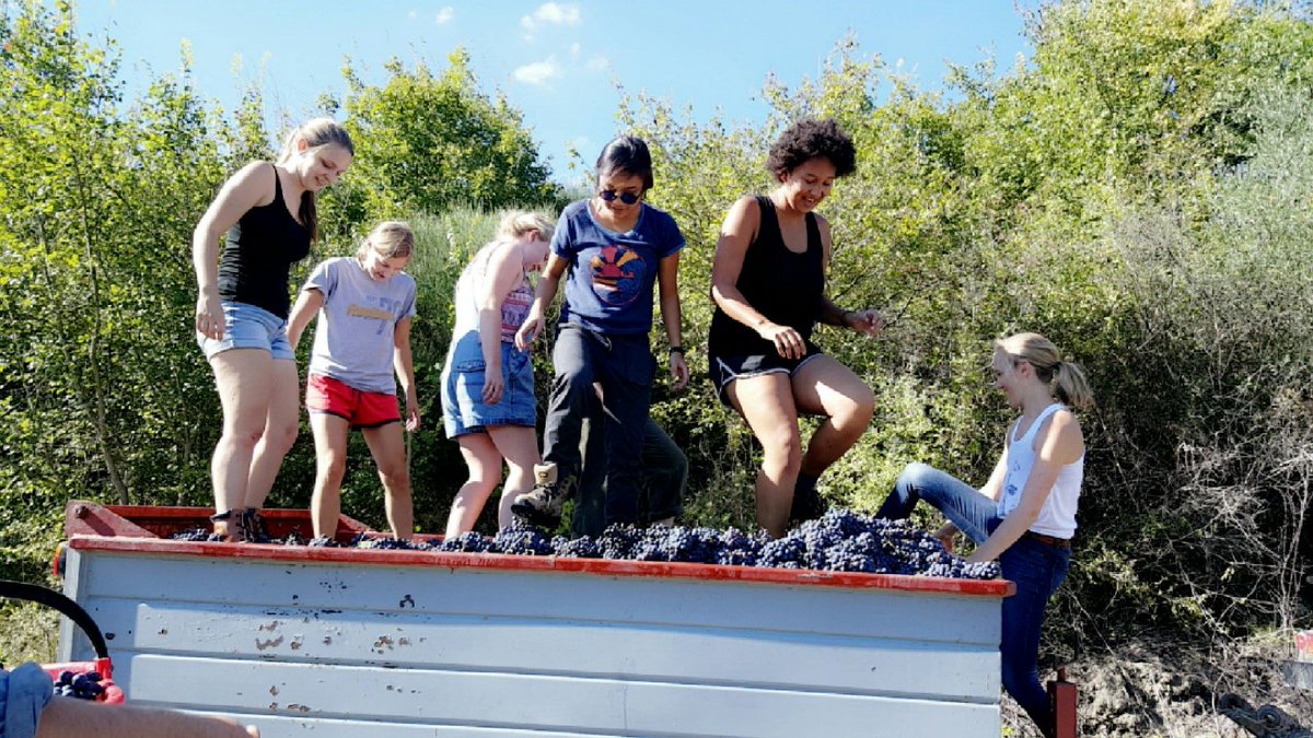 How did studying agriculture in Italy change Kate's career path? Read about it in our latest alumni feature. 

#SustainableAgriculture #Italy #AlumniFeature
hecua.org/stories/alumni…