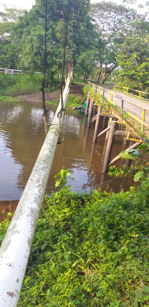 GobdeSantander's tweet photo. Sacamos cerca de 200 mil metros cúbicos de vegetal flotante o taruya, de las ciénagas Pozo Azul, Corredor, Yarirí y Montecristo, además sembramos 515 mil alevinos de bocachico, blanquillo y dorada. Con este proyecto generamos más de 45 empleos directos a habitantes del sector. https://t.co/PRZJd5aZqP