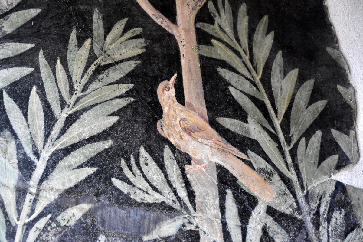 pompeii_sites's tweet photo. #Pompei. Il 19 e il 20 dicembre il pubblico potrà visitare in anteprima il cantiere di restauro della Casa del Frutteto, su Via dell'Abbondanza. 
L'apertura della domus è prevista per il 1 febbraio 2020, al termine dei lavori. https://t.co/3PWdJHTdG3 https://t.co/0JodayrTlj