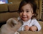 ABC7's tweet photo. #AmberAlert remains in effect for 2-year-old Bay Area girl allegedly kidnapped by her father after her mother was stabbed https://t.co/Y5fBIDt2EY https://t.co/IWmckmheeI