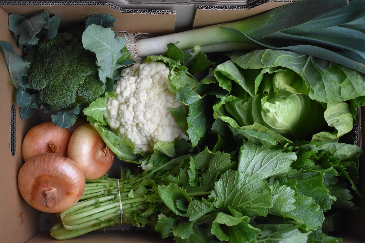 terras_miranda's tweet photo. #Grelos 🌿, #repollo 🌱, #coliflor, #brocoli 🥦, #zanahoria 🥕, #manzana 🍎, #naranja 🍊,... son algunos de nuestros productos de temporada para regalar estas navidades 🎅🎄 #comprasnavideñas #regalosaludable #cestadefrutasyverduras https://t.co/Tq0jVamUOS