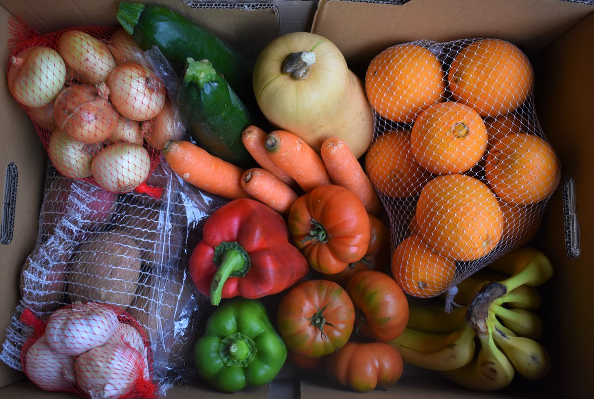 terras_miranda's tweet photo. #Grelos 🌿, #repollo 🌱, #coliflor, #brocoli 🥦, #zanahoria 🥕, #manzana 🍎, #naranja 🍊,... son algunos de nuestros productos de temporada para regalar estas navidades 🎅🎄 #comprasnavideñas #regalosaludable #cestadefrutasyverduras https://t.co/Tq0jVamUOS