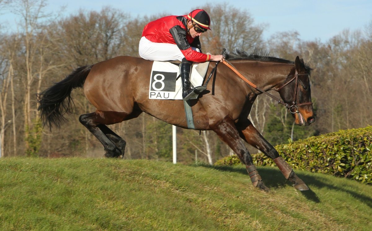 CharlyMilpied's tweet photo. #Obstacle #Pau
Mercredi à @Hippodrome_Pau, Nouveau Match🥊 Saham vs Alpha Risk !
Prix Pierre Rivière d'Arc :
2018 : Saham🥇
2017 : Alpha Risk🥇
2016 : Saham🥇
2015 : Saham🥇
Les 2 meilleurs Anglos de France sur le Cross et nouveau duel Plouganou / De Giles !
⏰12h45 - Mercredi. https://t.co/jSC84pQCJc