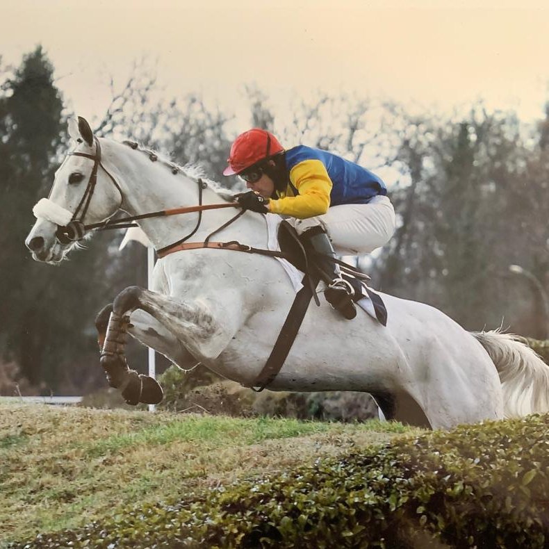 CharlyMilpied's tweet photo. #Obstacle #Pau
Mercredi à @Hippodrome_Pau, Nouveau Match🥊 Saham vs Alpha Risk !
Prix Pierre Rivière d'Arc :
2018 : Saham🥇
2017 : Alpha Risk🥇
2016 : Saham🥇
2015 : Saham🥇
Les 2 meilleurs Anglos de France sur le Cross et nouveau duel Plouganou / De Giles !
⏰12h45 - Mercredi. https://t.co/jSC84pQCJc