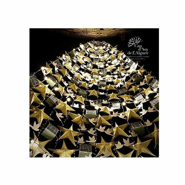 Il nostro albero di Natale 🎄#Alghero .
.
#CosaFaiACapodanno #IoVadoAdAlghero #CapdAny2020 #Dal1995IlPrimoCapodanno #igersardegna #sardegna #alberodinatale #stars #algherocity #algherofficial #paesaggidiluce ift.tt/38HPAxr