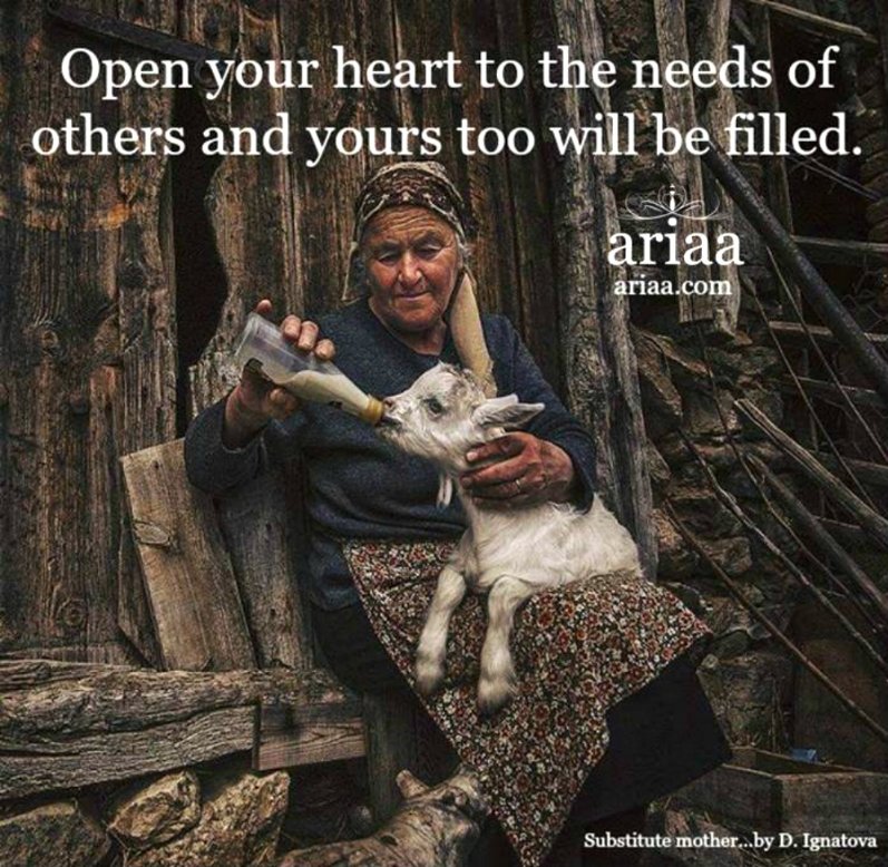 Open your heart to the needs of others and yours too will be filled. ~Ariaa Jaeger #SageWisdom #mondaythoughts