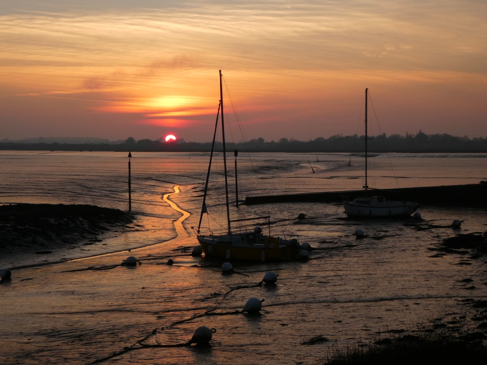 DuGolfe's tweet photo. Le golfe à marée basse 
Golfe du #Morbihan, #Bretagne https://t.co/6CTgccslTt