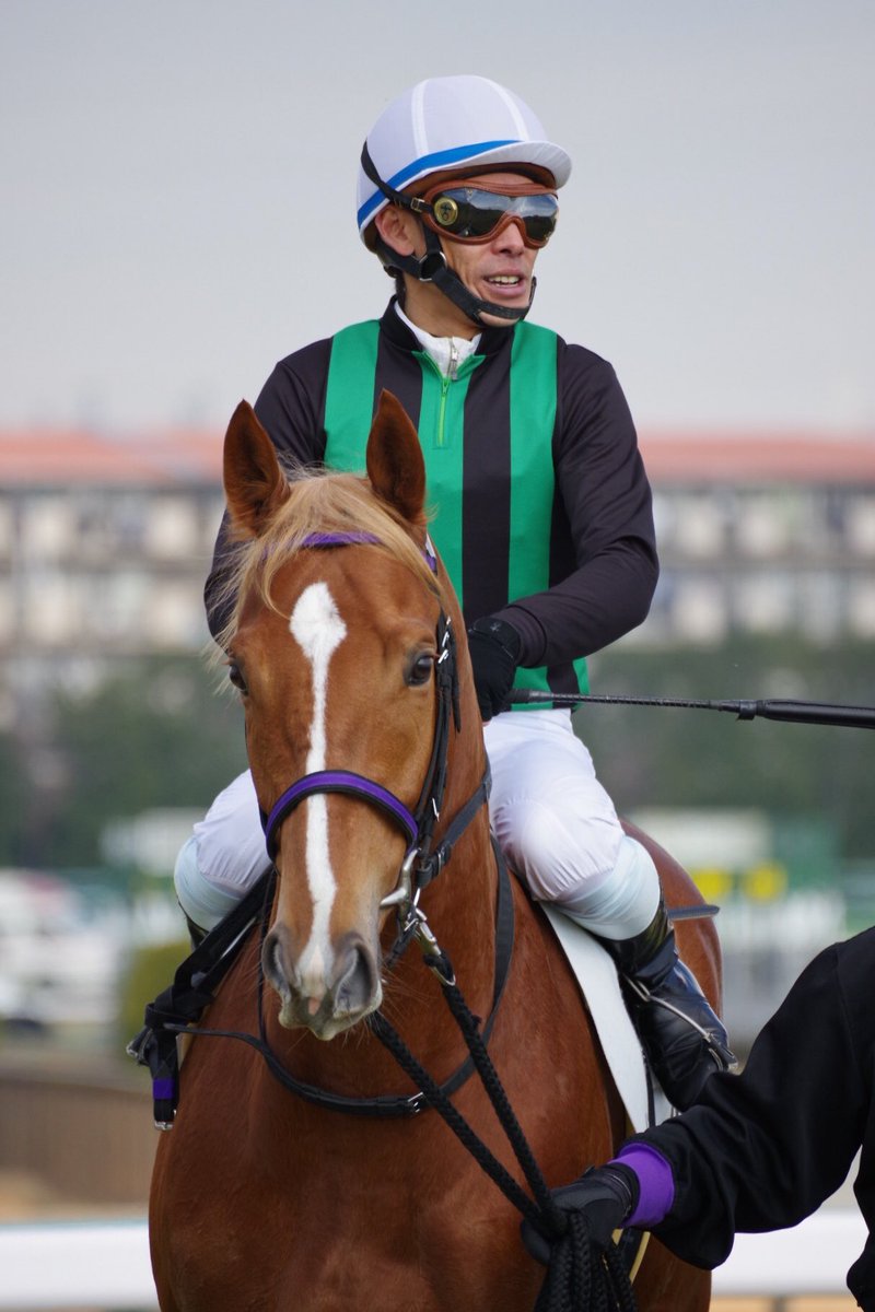 競馬 競走馬で一番のイケメンはトウカイテイオー