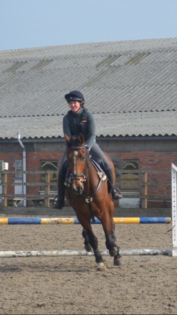 EquineRescueServices tweet media