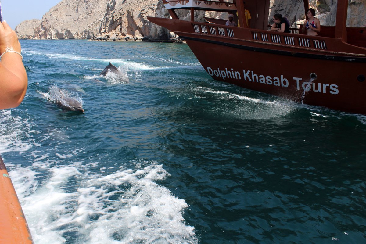 dolphinkhasab's tweet photo. Discover Holiday packages to Oman with https://t.co/jrIDHqeGWU at its best rates
#Oman is famous for dazzling souks, superb seafood, and #sea #beaches. It is a little country. Explore #Khasab and discover the best time to visit on the new year 2020 to the #fjords #Musanda
#مسندم https://t.co/PoyPR4wJ6U