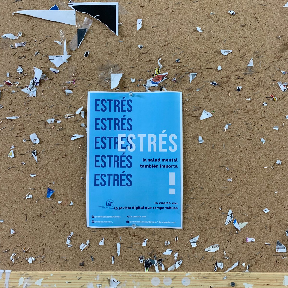 lacuartavoz_'s tweet photo. Ya podéis encontrar nuestros carteles por la FCom! A seguir trabajando, gracias por vuestro apoyo 🧠💙 https://t.co/1xksw0mlvf