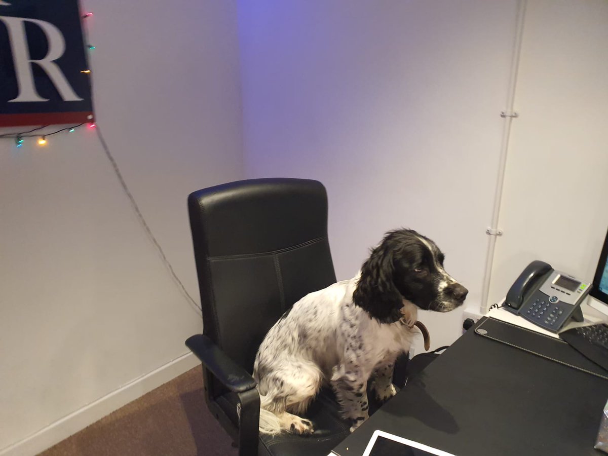 A_Redhouse's tweet photo. Head of Lettings is feeling especially ruff today after the weekends Christmas party. #Kidlington #EstateAgent #LettingsAgent https://t.co/2GeMWIrWZw