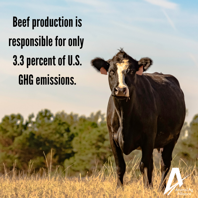 Animal Ag Alliance tweet media
