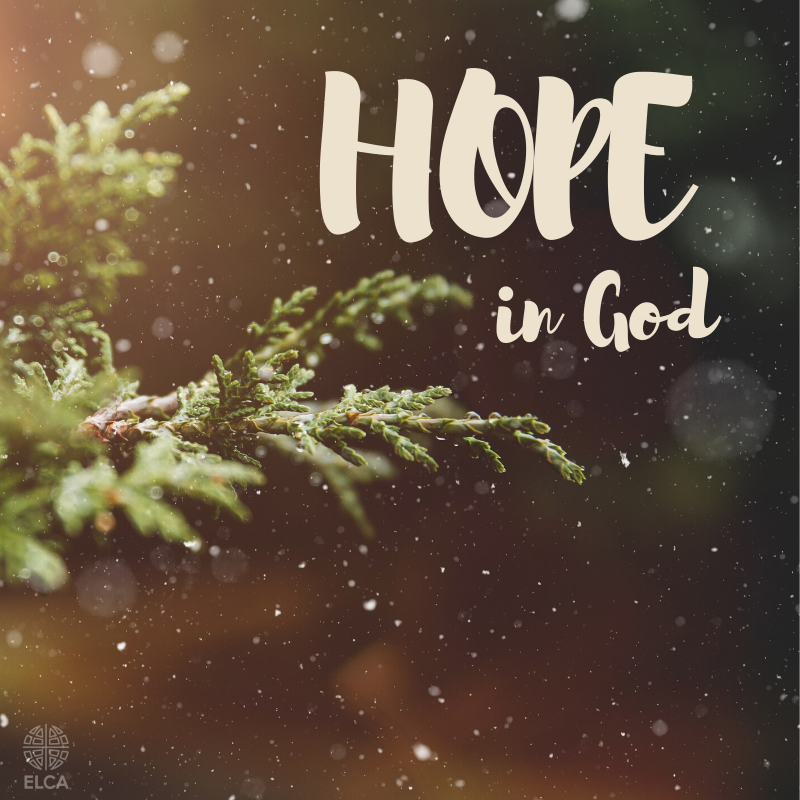 ELCA's tweet photo. https://t.co/HrUJ3S1UtJ