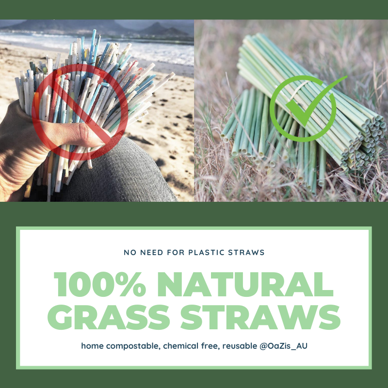 OaZis_AU's tweet photo. No need for plastic. Enjoy the festive season with Grass Straws ideal for commercial use.
#christmasparty #cocktail #party #holidays #straws #noplastic https://t.co/8E1Ld3mQpN