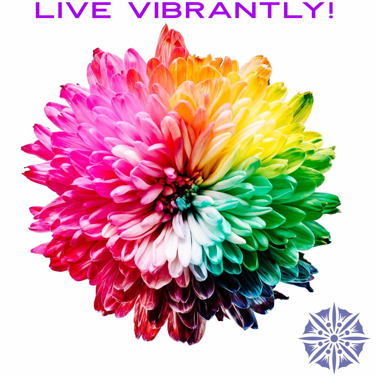 We have so many specials to help you live an amazing life! Message us, call us, come in to experience Infinity!