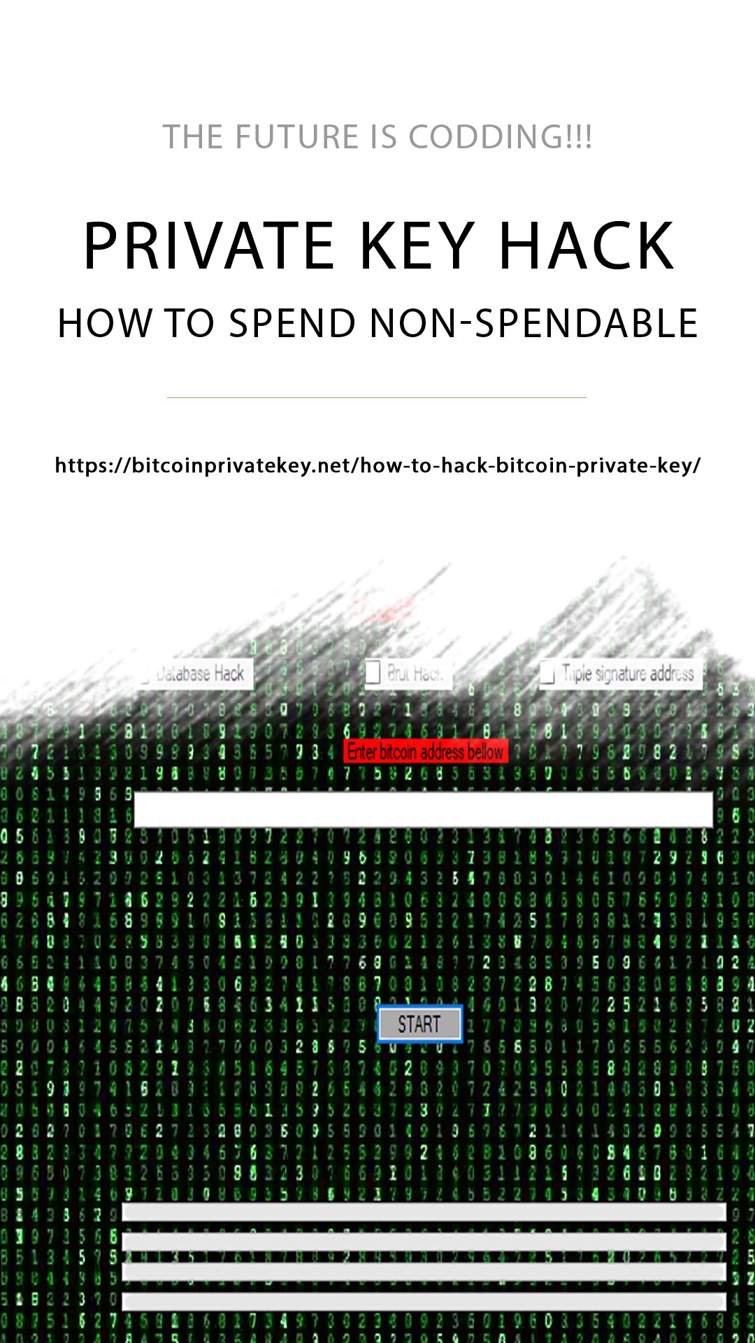 Bitcoin private key finder online