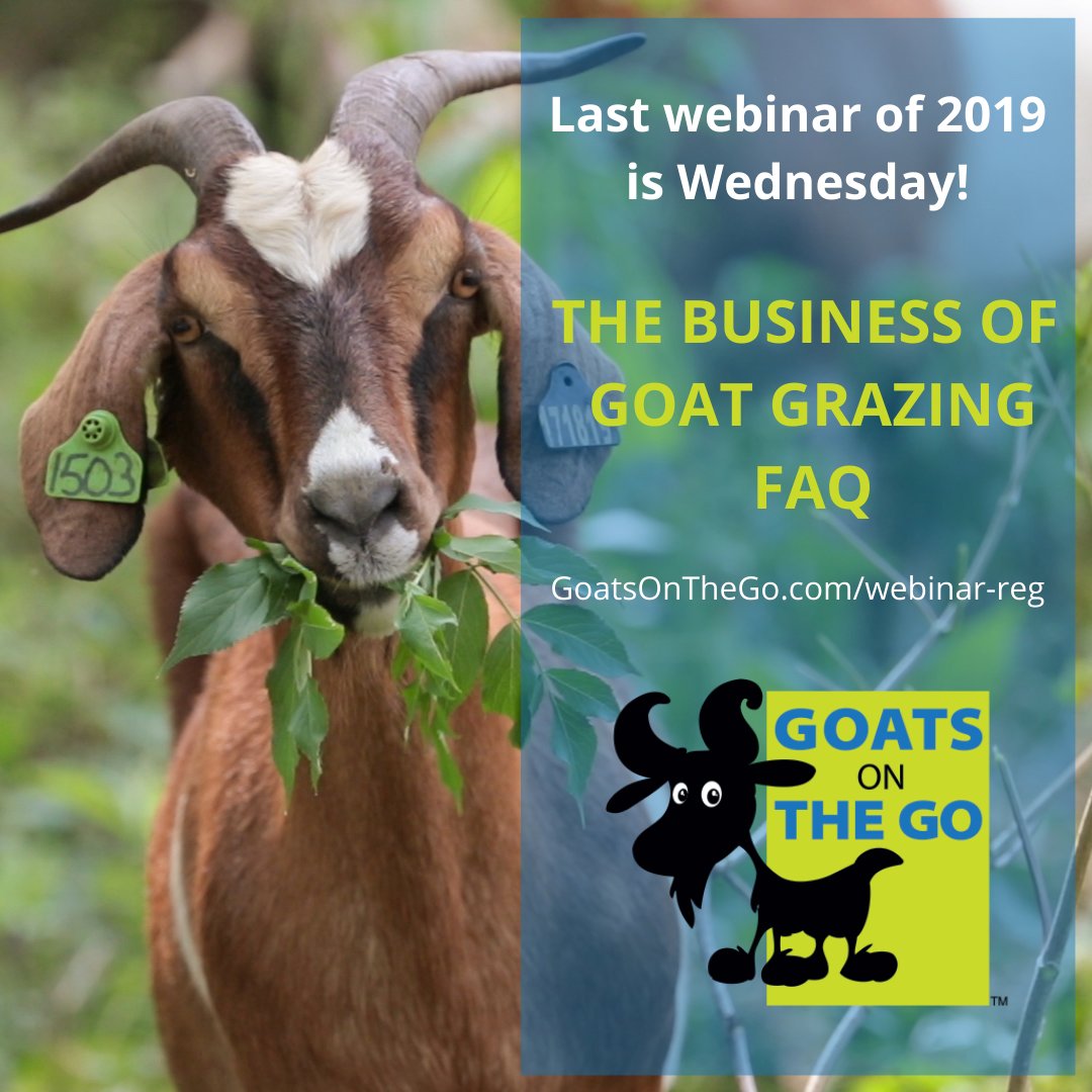 GoatsontheGo's tweet image. bit.ly/36Hiyfm  #goatgrazing #goatrental #goatknowledge #goatbusiness #rxgrazing #prescribedgrazing #conservationgrazing