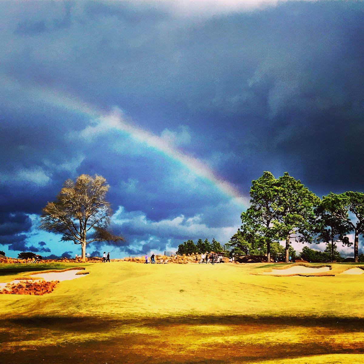 LeePaceTweet's tweet photo. This was the view last Dec. 21 while playing 20 rounds on The Cradle @PinehurstResort from sunup to sundown on the shortest day of the year. Back again this Saturday to raise money for the Sandhills Food Bank, Young Life of
the Sandhills, and the PGA Reach Foundation. https://t.co/eLdghl2kC8