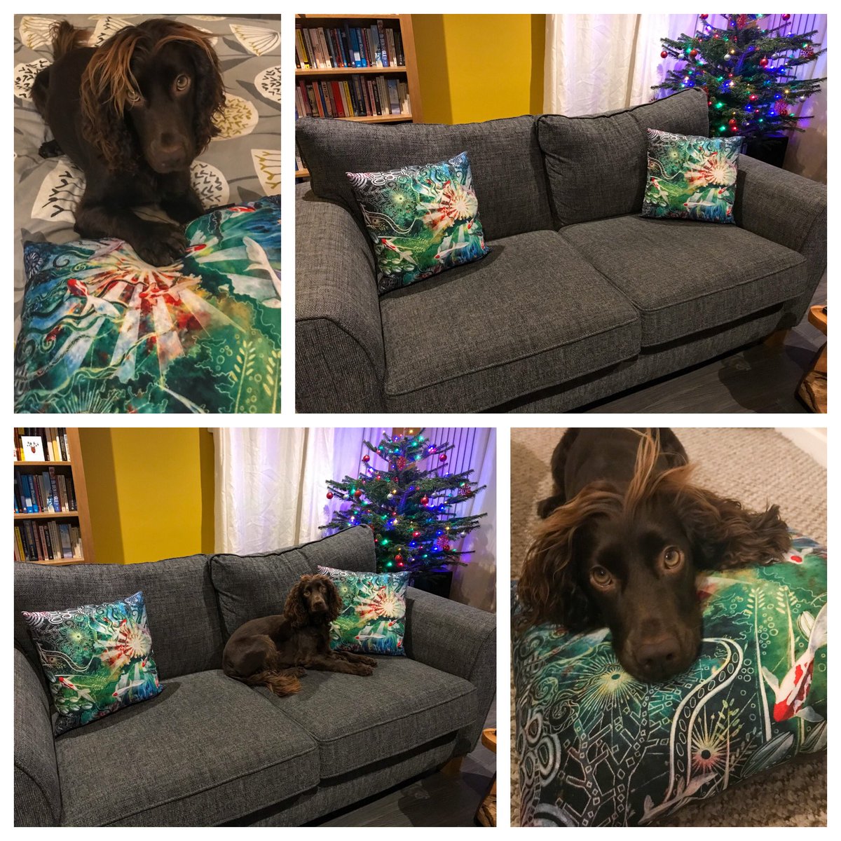 Shout out to the super talented <a href="/AertbyLisa/">Lisa_Cat</a> for her work ‘After Dark their is Light” that is featured on these cushions made by <a href="/Wraptious/">Wraptious</a>  I love them .... almost as much as my #spaniel does! 😉 Also 3 x🌳 planted per purchase 👍 #supportartists #planttrees <a href="/Treesftf/">Trees for the Future</a>