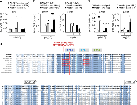 JExpMed's tweet photo. Hector Huerga Encabo, Cristina López-Rodríguez, and colleagues show that NFAT5, previously characterized as a pro-inflammatory transcription factor, limits the IFN-I response to control antiviral defenses and preserve hematopoietic stem cell quiescence https://t.co/CpM7rpBqDM https://t.co/MPjBU71KM6